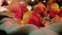 Dr. Hauschka Behandlung Freiburg