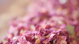 Dr. Hauschka Behandlung Freiburg