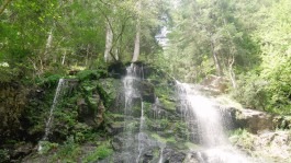 Dr. Hauschka Behandlung Freiburg