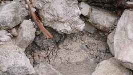 Dr. Hauschka Behandlung Freiburg