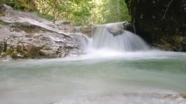 Dr. Hauschka Behandlung Freiburg