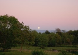 Dr. Hauschka Behandlung Freiburg