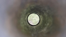 Dr. Hauschka Behandlung Freiburg