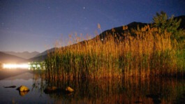 Dr. Hauschka Behandlung Freiburg