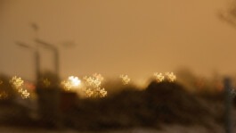 Dr. Hauschka Behandlung Freiburg