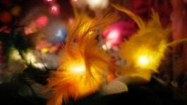 Dr. Hauschka Behandlung Freiburg