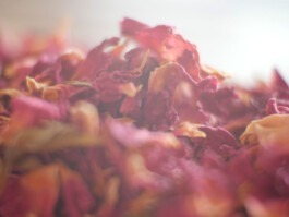 Dr. Hauschka Behandlung Freiburg