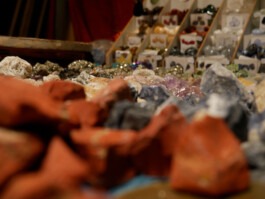 Dr. Hauschka Behandlung Freiburg