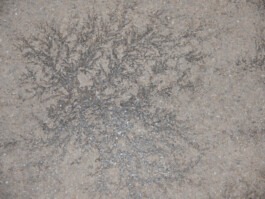 Dr. Hauschka Behandlung Freiburg